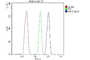 Flow Cytometry analysis of THP-1 cells using anti-RUNX3 antibody (ABIN3043429). (RUNX3 抗体  (AA 128-270))