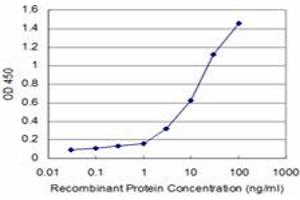 Detection limit for recombinant GST tagged IF is approximately 0. (Complement Factor I 抗体  (AA 19-118))