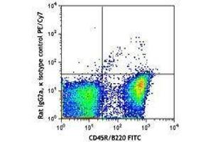 Flow Cytometry (FACS) image for Rat anti-Mouse IgD antibody (PE-Cy7) (ABIN2667030) (大鼠 anti-小鼠 IgD Antibody (PE-Cy7))