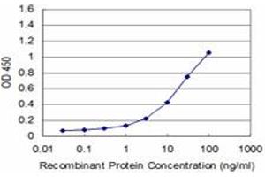 Detection limit for recombinant GST tagged NEUROG1 is approximately 1ng/ml as a capture antibody. (Neurogenin 1 抗体  (AA 82-163))
