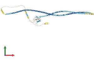 Protein Structure (PS) image for C-Type Lectin Domain Family 4, Member F (CLEC4F) (AA 1-589) protein (His tag) (ABIN7546499)