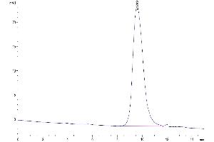 Size-exclusion chromatography-High Pressure Liquid Chromatography (SEC-HPLC) image for CD79b Molecule, Immunoglobulin-Associated beta (CD79B) (AA 26-158) protein (His tag) (ABIN7274240)