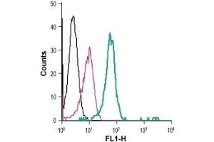 Flow Cytometry (FACS) image for anti-Growth Hormone Secretagogue Receptor (GHSR) (AA 197-207), (Extracellular) antibody (FITC) (ABIN7043265)