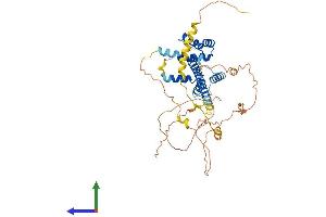 Protein Structure (PS) image for PBX/knotted 1 Homeobox 2 (PKNOX2) (AA 1-474) protein (His tag) (ABIN7558538)