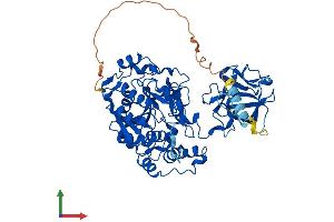 Protein Structure (PS) image for UDP-N-Acetyl-alpha-D-Galactosamine:polypeptide N-Acetylgalactosaminyltransferase 10 (GalNAc-T10) (GALNT10) (AA 1-603) protein (His tag) (ABIN7558023)