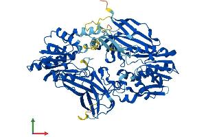AlphaFold protein structure predicition of Mouse Recombinant Prmt7 Protein, UniprotID Q922X9