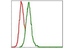 Flow cytometric analysis of Hela cells using MAP2K7 mouse mAb (green) and negative control (red). (MAP2K7 抗体)