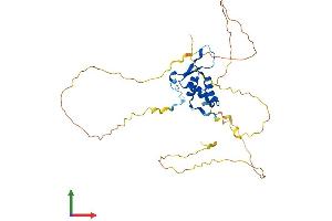 Protein Structure (PS) image for Forkhead Box L1 (FOXL1) (AA 1-345) protein (His tag) (ABIN7547805)