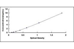 Typical standard curve (TOP2 ELISA 试剂盒)