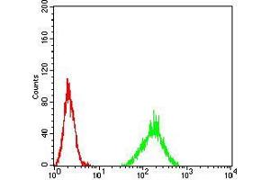 Flow cytometric analysis of A549 cells using ATF3 mouse mAb (green) and negative control (red).