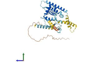 Protein Structure (PS) image for Ganglioside-Induced Differentiation-Associated Protein 1-Like 1 (GDAP1L1) (AA 1-370) protein (His tag) (ABIN7559884)