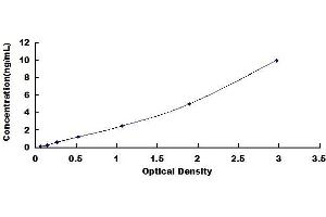 Typical standard curve (Cdc25 ELISA 试剂盒)