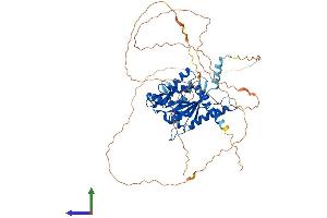 Protein Structure (PS) image for Septin 9 (SEPT9) (AA 1-583) protein (His tag) (ABIN7558332)