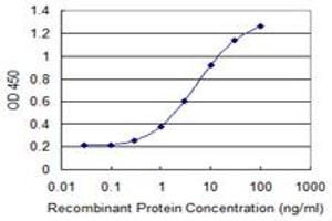 Detection limit for recombinant GST tagged CTNNB1 is 0. (CTNNB1 抗体  (AA 682-781))
