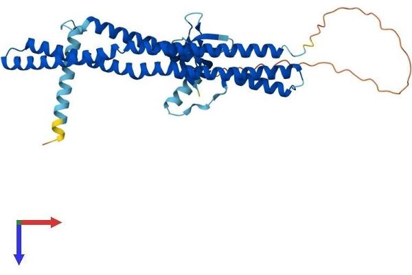 SH3GLB1 Protein (AA 1-365) (His tag)