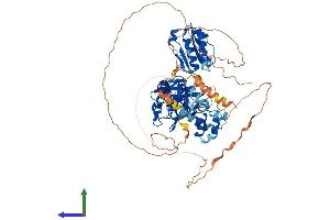 Protein Structure (PS) image for Sex Comb On Midleg Homolog 1 (SCMH1) (AA 1-706) protein (His tag) (ABIN7559487)