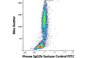 Flow cytometry surface nonspecific staining pattern of human peripheral whole blood stained using mouse IgG2b Isotype control (MPC-11) FITC antibody (concentration in sample 8 μg/mL).