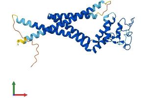 Protein Structure (PS) image for Tetraspanin 15 (TSPAN15) (AA 1-294) protein (His tag) (ABIN7544780)