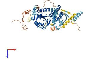 AlphaFold protein structure predicition of Human Recombinant ZSWIM1 Protein, UniprotID Q9BR11