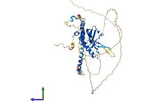 Protein Structure (PS) image for Nucleosome Assembly Protein 1-Like 3 (NAP1L3) (AA 1-506) protein (His tag) (ABIN7549950)
