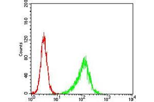 Flow cytometric analysis of Hela cells using PLCG2 mouse mAb (green) and negative control (red). (Phospholipase C gamma 2 抗体  (pTyr753))