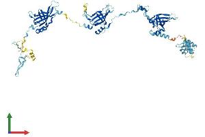 Protein Structure (PS) image for EF-Hand Domain (C-terminal) Containing 1 (EFHC1) (AA 1-640) protein (His tag) (ABIN7547290)