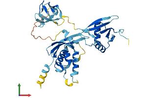 Protein Structure (PS) image for Neutrophil Cytosolic Factor 4, 40kDa (NCF4) (AA 1-339) protein (His tag) (ABIN7549637)