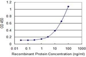Detection limit for recombinant GST tagged COL4A3BP is 0. (COL4A3BP 抗体  (AA 499-598))
