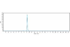 The purity of Anti-CXCL8 / IL-8 Reference Antibody (ABX-IL8) is 98.