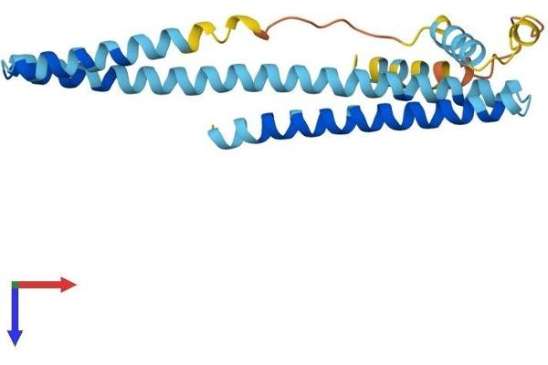 CHMP1A Protein (AA 1-196) (His tag)