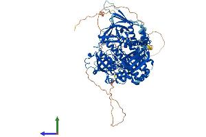 Protein Structure (PS) image for DIS3-Like Exonuclease 2 (DIS3L2) (AA 1-885) protein (His tag) (ABIN7553693)