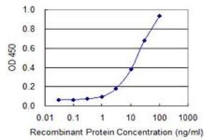 Detection limit for recombinant GST tagged PBK is 0. (PBK 抗体  (AA 122-229))