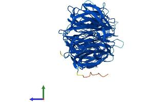 Protein Structure (PS) image for WD Repeat Domain 16 (WDR16) (AA 1-620) protein (His tag) (ABIN7557441)