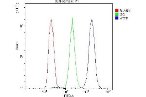 anti-Microsomal Triglyceride Transfer Protein (MTTP) (AA 29-702) antibody