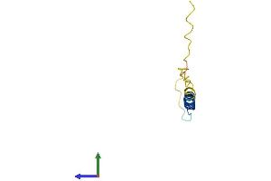 AlphaFold protein structure predicition of Mouse Recombinant Fxyd2 Protein, UniprotID Q04646