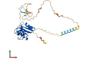 Protein Structure (PS) image for C-Type Lectin Domain Family 2, Member G (CLEC2G) (AA 1-269) protein (His tag) (ABIN7561036)