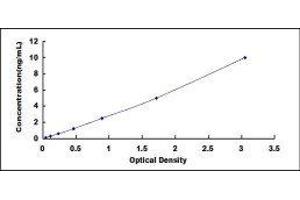Glucose 6-Phosphatase, Catalytic (G6PC) ELISA Kit