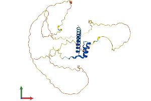Protein Structure (PS) image for Homeobox D10 (HOXD10) (AA 1-340) protein (His tag) (ABIN7548380)