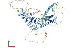 Protein Structure (PS) image for Transient Receptor Potential Cation Channel, Subfamily V, Member 4 (TRPV4) (AA 1-871) protein (His tag) (ABIN7565024)