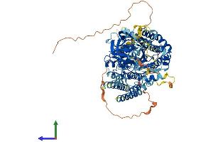 AlphaFold protein structure predicition of Human Recombinant NAALADL2 Protein, UniprotID Q58DX5 (NAALADL2 Protein (AA 1-795) (His tag))