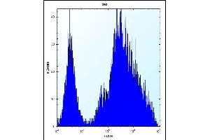 MINA Antibody (N-term) (ABIN656399 and ABIN2845694) flow cytometric analysis of 293 cells (right histogram) compared to a negative control cell (left histogram). (MINA 抗体  (N-Term))