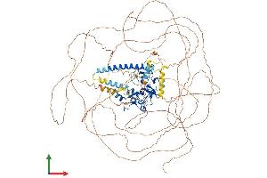 AlphaFold protein structure predicition of Mouse Recombinant Mllt10 Protein, UniprotID O54826