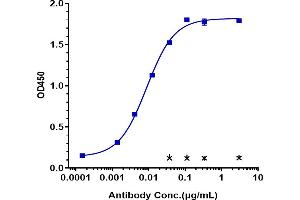 Immobilized human GPC3, His Tag at 2 μg/mL can bind Anti-GPC3 / Glypican-3 Reference Antibody (codrituzumab), EC50=0. (Recombinant GPC3 (Codrituzumab Biosimilar) 抗体)