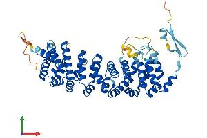 Protein Structure (PS) image for Ataxin 10 (ATXN10) (AA 1-475) protein (His tag) (ABIN7563056)