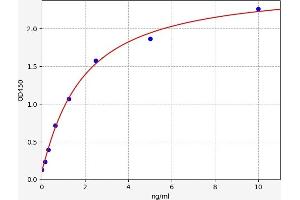Typical standard curve (Nucleobindin 1 ELISA 试剂盒)