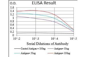 Black line: Control Antigen (100 ng), Purple line: Antigen(10 ng), Blue line: Antigen (50 ng), Red line: Antigen (100 ng), (RhoF 抗体  (AA 1-84))