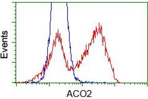 HEK293T cells transfected with either pCMV6-ENTRY ACO2 (RC204307) (Red) or empty vector control plasmid (Blue) were immunostained with anti-ACO2 mouse monoclonal (ABIN2452695), and then analyzed by flow cytometry. (ACO2 抗体)