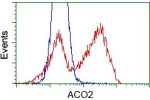 HEK293T cells transfected with either pCMV6-ENTRY ACO2 (RC204307) (Red) or empty vector control plasmid (Blue) were immunostained with anti-ACO2 mouse monoclonal (ABIN2452695), and then analyzed by flow cytometry.