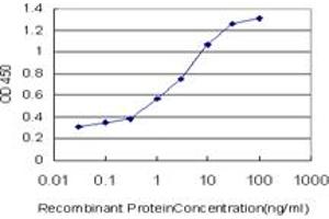 Detection limit for recombinant GST tagged CAMKK2 is approximately 0. (CAMKK2 抗体  (AA 1-130))