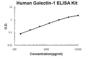 Human Galectin-1 PicoKine ELISA Kit standard curve (LGALS1/Galectin 1 ELISA 试剂盒)